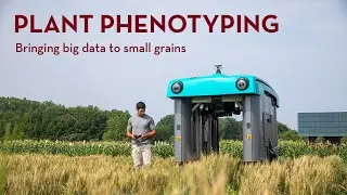 Using Technology to Improve Plant Phenotyping