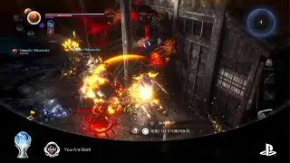 Nioh 2 Remastered Platinum 😅