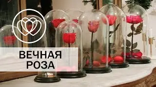 Что такое роза в колбе и в чем ее секрет?