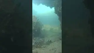 Поиск золота, на дне моря #shorts