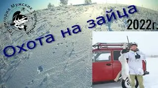 Охота на зайца 2022 г