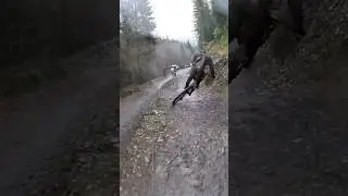 😤 Rowdy Dyfi Bike Park Laps! 🔥
