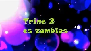 сыграл с друзьями в trine и зомби