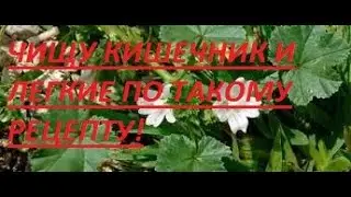 ГОТОВЛЮ ПРОСВИРНИК И МОЩНО ЧИЩУ КИШЕЧНИК И ЛЁГКИЕ 13.05.2022