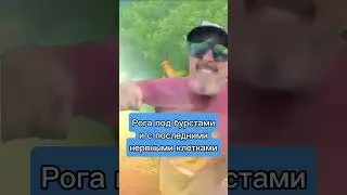 ПОВ: Ты паладин в тернистой долине
