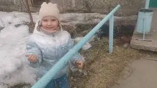 Шашлычок в исполнении Сафи.