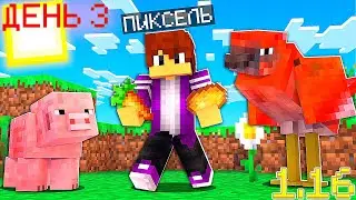 ХАРДКОРНОЕ ВЫЖИВАНИЕ В МАЙНКРАФТ НА 1.16.2 (ДЕНЬ ТРЕТИЙ)