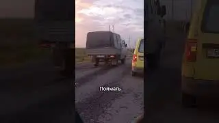 Попытки поймать Алабая Хатико #собаки
