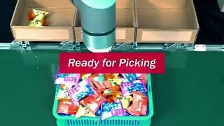 Bin Picking Various Snacks in Minutes | AccuPick Instant
