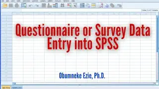 SPSS: How to Input Questionnaire Data or Survey and Secondary Data into SPSS
