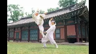 Taekkyeon  - A Traditional Korean Martial Art