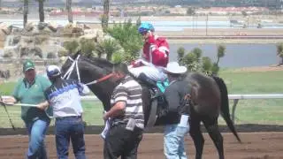EL PRIETO CON TRES CORONAS - GRUPO LABERINTO