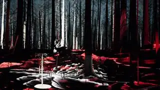 Shlohmo - Misanthrope (Official Visualizer)