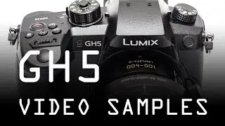 Panasonic Lumix GH5 video samples 4K