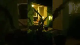 Шизофрения. Прекрасный Диагноз.🦉