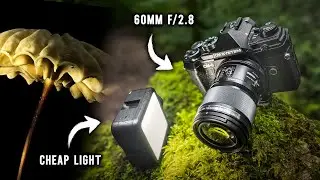 I Tried Macro Photography. It Was Brutal.