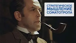 Соматотропный тип - стратегическое мышление