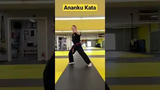 Taekwondo Master Practicing Ananku Shorin Ryu Kata 
