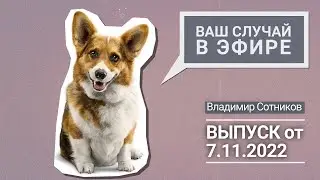 Ваш случай в эфире. Выпуск от 7.11.2022