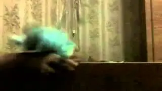 Мышонок дрочун (2 серия)