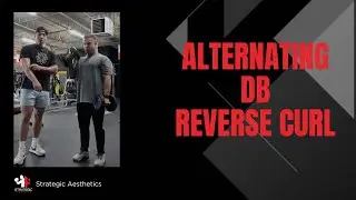 Reverse DB Curl - Exercise Index