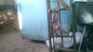 Разноцветные зверюшки...