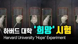 포기할 필요 없습니다 | '희망'이 주는 놀라운 힘