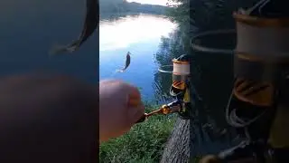 Ultralight fishing with worms