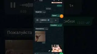 29 июля 2024 г.