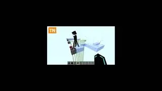 Minecraft Enderman IQ Test #shorts