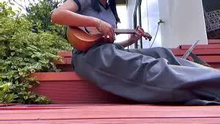 夏天的风(the summer breeze by 温岚wen lan) ukulele finger style | paperbag.-.