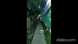 Гостиница Партенит