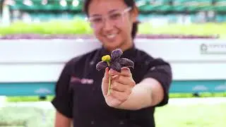 What's In The Bag? Kitchen Garden Farm Tomatillo Salsa