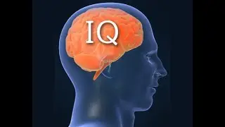 Quiz Time: Numerical puzzle| Try it yourself | mind Quiz | Riddles|