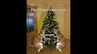 Подготовка к новому году 