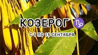 КОЗЕРОГ ♑ таро прогноз с 1 по 15 сентября &Capricorn tarot forecast from 1 to 15 September