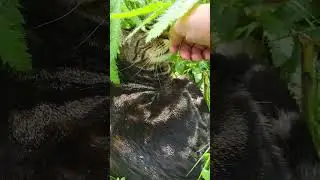 King Kenny Enjoying the Warm Day