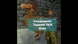 Daily Pursuit Hatch Dodo