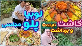 طرز تهیه لوبیا پلو مجلسی ، غذای خوشمزه ایرانی ، آموزش آشپزی حرفه ای