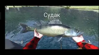 Это озеро кишит судаком. Я не ожидал такого улова