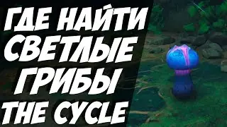 ГАЙД ГДЕ НАЙТИ СВЕТЯЩИЕСЯ СВЕТЛОВИКИ В БУРЕ / КВЕСТ НАЕЗДНИКИ БУРИ ЧАСТЬ 1 / The Cycle Frontier