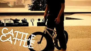 ПРЕМЬЕРА "CATTLE IN BMX STREETS"