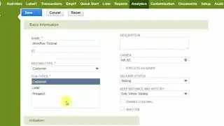 Create Custom Button In Netsuite Using Workflows