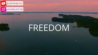 Freedom - Avicii Type Beat | Pop EDM Instrumental