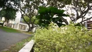 first  video with lumix g10