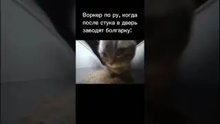 БОЛЬШЕ СХЕМ ПО ССЫЛКЕ В КОММАХ #деньги #заработок #студент #схемы #абузы #арбитраж #дропшиппинг
