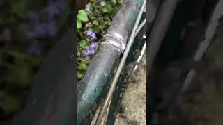 60 Seconds on my 1952 Raleigh Lenton Reg Harris Road Model vintage bicycle restoration project