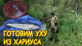 УХА простая из ХАРИУСА