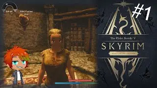 Skyrim Stream #1 : I've fixed the audio I swear!