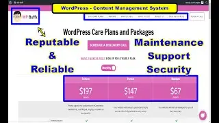 WP Buffs | WordPress Maintenance Plans and Support Service